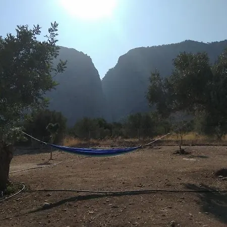 مكان تخييم Ha Camp