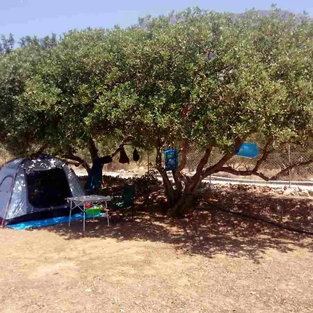 Ha Camp